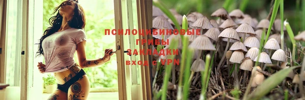 соль ск Иннополис