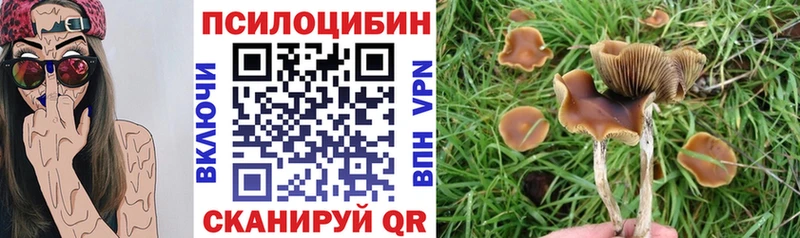 Псилоцибиновые грибы GOLDEN TEACHER  Сосновоборск 