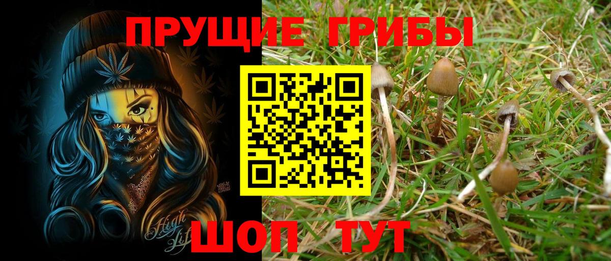 Псилоцибиновые грибы GOLDEN TEACHER Сосновоборск