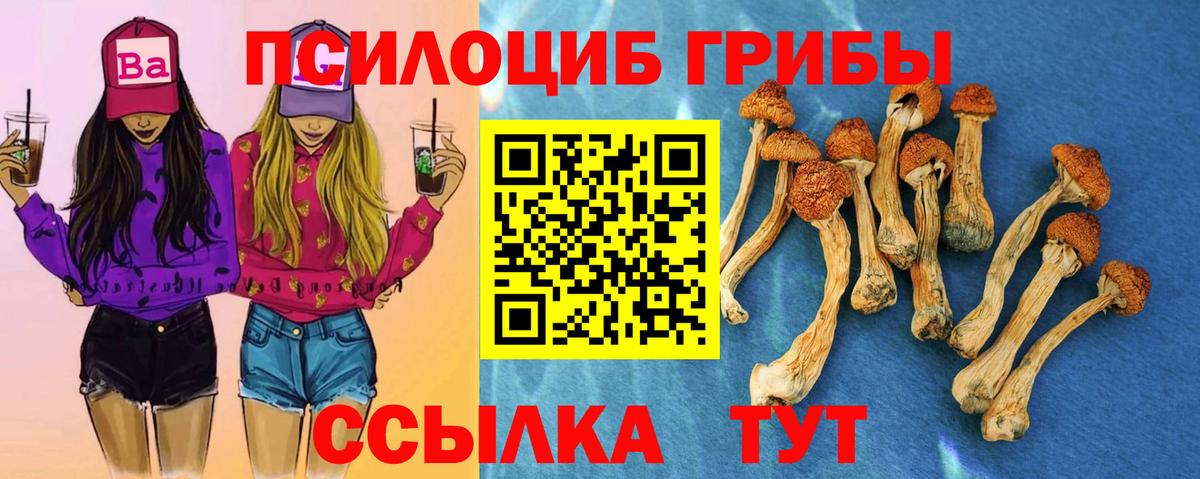 Альфа ПВП Сосновоборск