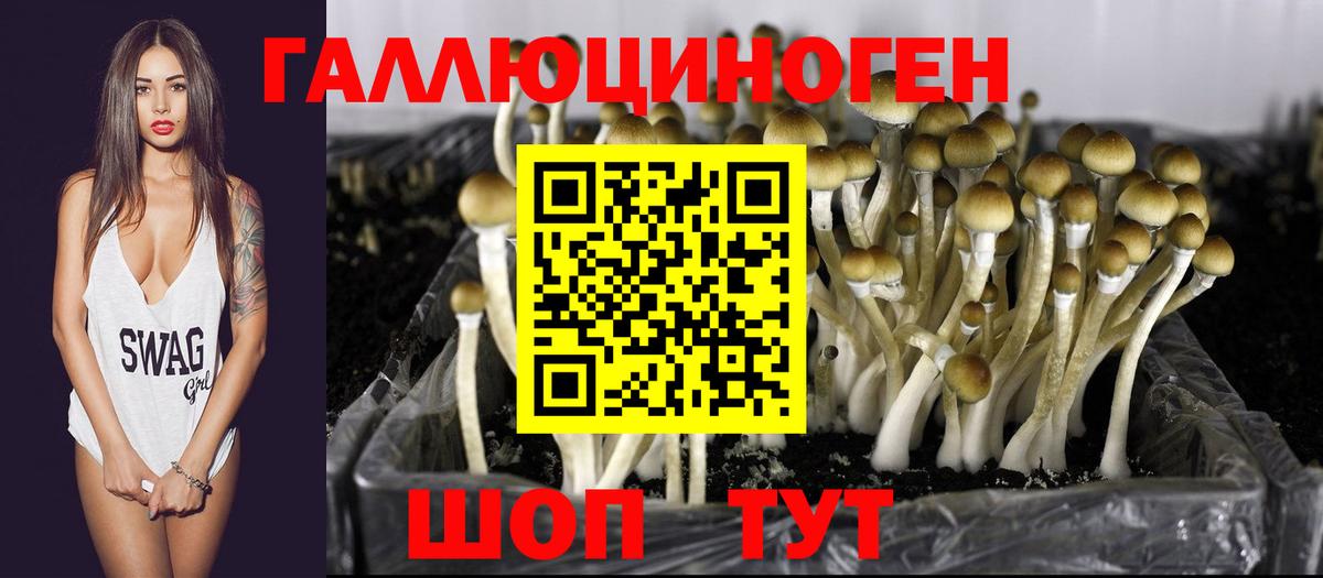 Сосновоборск  цена наркотик  Вход с VPN  Псилоцибиновые грибы GOLDEN TEACHER 
